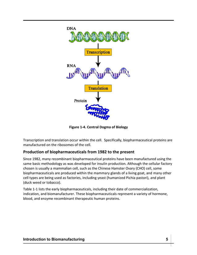 Introduction to Biomanufacturing process | PDF