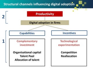 Structural channels influencing digital adoption
Productivity
Digital adoption in firms
Capabilities Incentives
Complementary
investment
Organisational capital
Talent Pool
Allocation of talent
Technological
experimentation
Competition
Reallocation
1
2
 