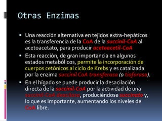 Otras Enzimas
 Una reacción alternativa en tejidos extra-hepáticos
es la transferencia de la CoA de la succinil-CoA al
acetoacetato, para producir acetoacetil-CoA
 Esta reacción, de gran importancia en algunos
estados metabólicos, permite la incorporación de
cuerpos cetónicos al ciclo de Krebs y es catalizada
por la enzima succinil CoA transferasa (o tioforasa).
 En el hígado se puede producir la desacilación
directa de la succinil-CoA por la actividad de una
succinil-CoA deacilasa, produciéndose succinato y,
lo que es importante, aumentando los niveles de
CoA libre.
 