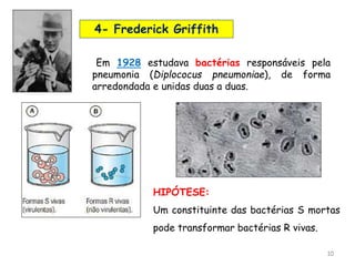 10
4- Frederick Griffith
Em 1928 estudava bactérias responsáveis pela
pneumonia (Diplococus pneumoniae), de forma
arredondada e unidas duas a duas.
HIPÓTESE:
Um constituinte das bactérias S mortas
pode transformar bactérias R vivas.
 