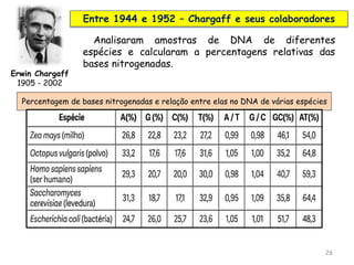Percentagem de bases nitrogenadas e relação entre elas no DNA de várias espécies
26
Erwin Chargaff
1905 - 2002
Entre 1944 e 1952 – Chargaff e seus colaboradores
Analisaram amostras de DNA de diferentes
espécies e calcularam a percentagens relativas das
bases nitrogenadas.
 