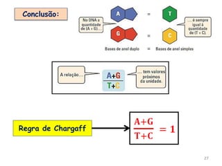27
Regra de Chargaff
Conclusão:
 