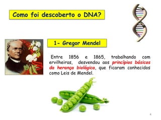 4
Como foi descoberto o DNA?
1- Gregor Mendel
Entre 1856 e 1865, trabalhando com
ervilheiras, desvendou aos princípios básicos
da herança biológica, que ficaram conhecidos
como Leis de Mendel.
 