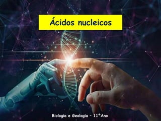 Ácidos nucleicos
Biologia e Geologia – 11ºAno 1
 