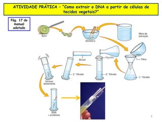 18
ATIVIDADE PRÁTICA – “Como extrair o DNA a partir de células de
tecidos vegetais?”
Pág. 17 do
manual
adotado
 