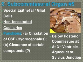 Circumventricular Organs - Succinct Presentation - Sanjoy Sanyal | PPTX