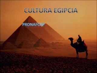 CULTURA EGIPCIA PRONAFCAP 