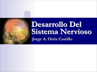 Jorge A. Ortiz Castillo
Desarrollo Del
Sistema Nervioso
 