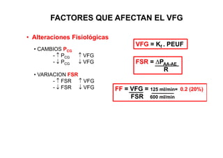 FACTORES QUE AFECTAN EL VFG 
• Alteraciones Fisiológicas 
VFG = K PEUF 
• CAMBIOS PCG 
- ↑ PCG ↑ VFG 
↓ P ↓ VFG 
Kf . - PCG FSR = ΔP 
• VARIACION FSR 
↑ FSR ↑ VFG 
ΔPAA-AE 
R 
- - ↓ FSR ↓ VFG FF = VFG = 125 ml/min= 0.2 (20%) 
FSR 600 ml/min 
 