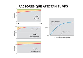 FACTORES QUE AFECTAN EL VFG 
FPR 
mmHg 
normal 
P m 
VFG 
AA AE 
FPR 
P 
mmHg 
disminuido 
Flujo plasmático renal 
FPR 
mHg 
aumentado 
P m 
 