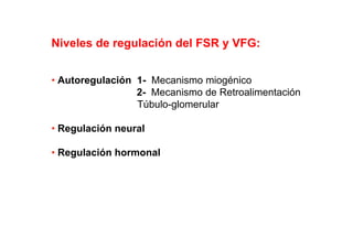 Niveles de regulación del FSR y VFG: 
• Autoregulación 1- Mecanismo miogénico 
2- Mecanismo de Retroalimentación 
Túbulo-glomerular 
• Regulación neural 
•• Regulación hormonal 
 