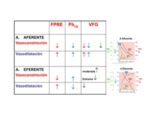 FPRE Phcg VFG FF = VFG 
FPRE 
A. AFERENTE 
Vasoconstricción 
↓ 
↓ 
↓ ↓ ↓ 
↓ ↓ ↓ 
↓ 
Vasodilatación 
↑ 
↑ 
↑ ↑ 
↑↑ ↑↑ ↑↑ 
↑ 
A. EFERENTE moderada↑ 
↑ 
Vasoconstricción ↓ ↑ 
Extrema ↓ 
Vasodilatación ↑ ↓ ↓ 
 