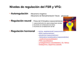 Niveles de regulación del FSR y VFG: 
• Autoregulación - Mecanismo miogénico 
Túbulo glomerular 
- Mecanismo de Retroalimentación Túbulo- • Regulación neural - Fibras del S Simpático (vasoconstrictoras) 
1- vasoconstricción de vasos sanguíneos renales 
2- Aumento en la liberación de renina 
3- Aumento en la reabsorción de Na+ 
2- Aumento en la reabsorción de Na+ 
3- Aumento en la liberación de renina 
• Regulación hormonal - renina, angiotensinaII (vasoconstrictor) 
- ADH (vasoconstrictor) 
- serotonina (vasoconstrictor) 
- Adrenalina noradrenalina (vasoconstrictor) 
- acetilcolina(vasodilatador) 
- FNA (vasodilatador) 
- prostaglandinas (vasodilatador), Ox. Nítrico 
- bradiquinina, dopamina (vasodil) 
 