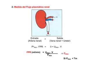 2- Medida del Flujo plasmático renal 
Entrada = Salida 
(Arteria renal) (Vena renal + Ureter) 
Pa 
P PAH . FPR = 0 + UPAH . V 
FPR (ml/min) = UPAH . V 
⇒ P 
PPAH 
CPAH Si PPAH < Tm 
 