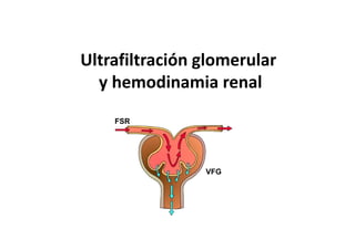 Ultrafiltración glomerular 
y hemodinamia renal 
FSR 
VFG 
 