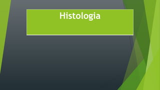 Histologia
 