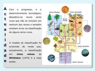 Com o progresso, e o desenvolvimento tecnológico, descobriu-se novos seres vivos que não se incluíam em nenhum dos reinos e também existiam erros na classificação de alguns seres vivos. O modelo de classificação foi evoluindo de modo que, actualmente, a classificação em  cinco reinos  de  Whittaker  (1979) é a mais aceite. 