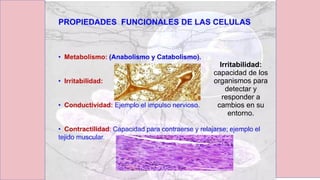 Irritabilidad:
capacidad de los
organismos para
detectar y
responder a
cambios en su
entorno.
 