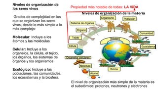 Niveles de organización de
los seres vivos
Grados de complejidad en los
que se organizan los seres
vivos, desde lo más simple a lo
más complejo:
Molecular: Incluye a los
átomos y las moléculas
Celular: Incluye a los
organelos, la célula, el tejido,
los órganos, los sistemas de
órganos y los organismos
Ecológico: Incluye a las
poblaciones, las comunidades,
los ecosistemas y la biosfera.
El nivel de organización más simple de la materia es
el subatómico: protones, neutrones y electrones
Propiedad más notable de todas: LA VIDA
 