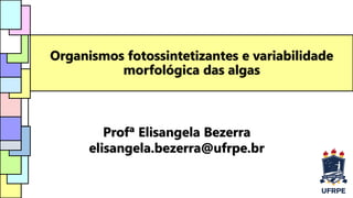 Organismos fotossintetizantes e variabilidade
morfológica das algas
Profª Elisangela Bezerra
elisangela.bezerra@ufrpe.br
 