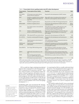 REVIEWS

                                    Table 2 | Transcription factors guiding steady-state DC subset development
                                    Transcription Transcription factor family                        Function                                                        Refs
                                    factor
                                    PU.1 (SFPI1,       ETS-domain transcription factor;              Required for the development of all DC subsets                   66,
                                    SPI1)              binds to PU box sequences                                                                                    69,70
                                    IRF2               Interferon-regulatory factor; inhibits        Alters pDC ratios; in its absence the numbers of                 122
                                                       the IRF1-mediated transcription of            CD8α– DCs and Langerhans cells are reduced
                                                       type I IFNs
                                    IRF4               Interferon-regulatory factor                  Required for non-CD8α+ DC lineage development               126,127
                                    IRF8 (ICSBP)       Interferon-regulatory factor                  Required for the development of pDCs and most                  90,92,
                                                                                                     conventional DCs                                              93,104
                                    GFI1               Zinc-finger protein; transcriptional          GFI1 deficiency results in a 50% reduction in the                 79
                                                       repressor                                     numbers of conventional DCs and pDCs and
                                                                                                     increased numbers of Langerhans cells
                                    ID2                Inhibitor of DNA binding family               Required for the development of CD103+ DCs and                   47,
                                                       protein containing HLH domains                CD8α+ DCs in PLNs and spleen; not required for                 87,89
                                                                                                     DCs in MLNs
                                    E4BP4 (NFIL3)      PAR-related bZIP transcription factor Required for the development of CD8α+ DCs                                108
                                    E2‑2 (TCF4)        E protein containing bHLH domains             Required for the development and maintenance                   80,84
                                                                                                     of pDCs
                                    STAT3              Signal transducer and activator of            STAT3 deficiency results in a substantial reduction               46
                                                       transcription                                 in conventional DC numbers
                                    STAT5A and         Signal transducer and activator of            Inhibit pDC development by interacting with IRF8;                 51
                                    STAT5B             transcription                                 deficiency results in reduced conventional DC and
                                                                                                     increased pDC numbers
                                    Ikaros (IKZF1)     Zinc-finger DNA-binding protein               Ikaros deficiency results in the absence of most               75,77
                                                                                                     DCs; a hypomorphic mutation leads a specific loss
                                                                                                     of pDCs
                                    BATF3              bZIP family; heterodimerizes with             BATF3-deficient mice fail to develop CD103+ DCs                   13,
                                                       JUN                                           and show impaired survival of precursor CD8α+ DCs             89,111
                                    RELB               REL-homology domain family;                   RELB deficiency results in the loss of CD8α– DCs            129,130
                                                       interacts with NF‑κB family members
                                    SPIB               ETS-domain transcription factor               Required for human pDC differentiation                            91
                                    BATF3, basic leucine zipper transcription factor, ATF-like 3; bHLH, basic HLH; bZIP, basic leucine zipper; DC, dendritic cell; E4BP4,
                                    E4 promoter-binding protein 4; GFI1, growth factor independent 1; HLH, helix-loop-helix; ID2, inhibitor of DNA binding 2; IFN,
                                    interferon; IRF, interferon-regulatory factor; MLN, mesenteric lymph node; NF‑κB, nuclear factor‑κB; PAR, proline- and acidic-rich
                                    region; pDC, plasmacytoid DC; PLN, peripheral lymph node; STAT, signal transducer and activator of transcription.



                                       GFI1 is a small, zinc-finger-containing transcriptional            it is surprising how little we actually understand about
                                   repressor that is important for early haemato­ oiesis78.
                                                                                     p                    this process. Two developmental systems appear to be
                                   GFI1 is expressed in DC precursors, and Gfi1–/– mice                   in place to separate pDCs and conventional DCs (FIG. 2).
                                   have reduced numbers of all lymphoid-resident DC                       First, pDCs absolutely rely on the expression of the
                                   subsets, whereas Langerhans cell numbers were actu-                    E protein E2‑2 (REF. 80) and the absence of the E protein
                                   ally increased79. Interestingly, GFI1‑deficient haemato­               antagonist inhibitor of DNA binding 2 (ID2)81. Second,
                                   poietic progenitor cells were unable to develop into DCs               pDCs have a uniquely low level of PU.1 (REF. 68) and an
                                   in vitro in the presence of either FLT3L or GM‑CSF and                 extremely high concentration of interferon-regulatory
                                   instead differentiated into macrophages, suggesting that               factor 8 (IRF8), a transcription factor that can form
                                   GFI1 is a crucial modulator of DC versus macrophage                    a complex with PU.1 on a class of ‘composite’ DNA
                                   development (FIG. 2).                                                  elements82.
                                                                                                              One model to explain the pDC versus conventional
                                   Establishing pDC and conventional DC identity.                         DC lineage split is to assume that the conventional DC
E protein
                                   Restriction of the developmental programme of DC                       is the default setting and that progenitors have to be
The E proteins (including E12,
E47, HEB and E2‑2) have            progenitors to the conventional DC and pDC lineages                    diverted to the pDC lineage83. E2‑2 fits the bill for a fac-
emerged as key regulators of       occurs at the CDP stage40,61 (FIG. 2). Conventional DCs                tor that could control this diversion, as it is abundantly
the immune system. They are a      and pDCs differ markedly in their appearance, functions                expressed by pDCs and is required for pDC lineage
family of basic helix-loop-helix   and transcriptional programmes, and thus how a CDP                     specification80. Once progenitors have committed to a
factors that work together with
their antagonists, the ID
                                   is influenced to develop into either a pDC or a conven-                pDC fate, it appears that continuous expression of E2‑2
proteins (ID1–ID4), to regulate    tional DC is a question of major importance for under-                 is essential to maintain the mature pDC phenotype84.
lymphocyte development.            standing and manipulating DC biology. In this context,                 In mice, a specific deletion of the gene encoding E2‑2


NATURE REVIEWS | IMMUNOLOGY	                                                                                                       VOLUME 12 | FEBRUARY 2012 | 107

                                                           © 2012 Macmillan Publishers Limited. All rights reserved
 