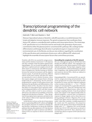 REVIEWS




                                   Transcriptional programming of the
                                   dendritic cell network
                                   Gabrielle T. Belz and Stephen L. Nutt
                                   Abstract | Specialized subsets of dendritic cells (DCs) provide a crucial link between the
                                   innate and adaptive immune responses. The genetic programme that coordinates these
                                   distinct DC subsets is controlled by both cytokines and transcription factors. The initial steps
                                   in DC specification occur in the bone marrow and result in the generation of precursors
                                   committed to either the plasmacytoid or conventional DC pathways. DCs undergo further
                                   differentiation and lineage diversification in peripheral organs in response to local
                                   environmental cues. In this Review, we discuss new evidence regarding the coordination
                                   of the specification and commitment of precursor cells to different DC subsets and
                                   highlight the ensemble of transcription factors that control these processes.

                                  Dendritic cells (DCs) are essential for antigen presen-             Unravelling the complexity of the DC network
                                  tation and the initiation of protective T cell responses            DCs are a heterogeneous group of cells that have been
                                  and, thus, constitute a front-line defence against invad-           divided into different subsets. This segregation was
                                  ing pathogens. DCs are located throughout the body                  initially based on their distinct patterns of cell-surface
                                  and form a sophisticated and complex network that                   molecule expression. The four major categories of DCs
                                  allows them to communicate with different popula-                   are conventional DCs, which predominate in the steady
                                  tions of lymphocytes, thereby forming an interface                  state; Langerhans cells; plasmacytoid DCs (pDCs);
                                  between the external environment and the adaptive                   and monocyte-derived DCs, which are induced in
                                  immune system. To provide this protection, different                response to inflammation.
                                  subsets of DCs have evolved, and these DC subsets
                                  are specialized to exist in distinct locations, where               Conventional DCs. Conventional DCs are special-
                                  they acquire antigens and transport them to draining                ized for antigen processing and presentation. They
                                  lymph nodes for T cell priming. The DC network is                   can be grouped into two main classes based on their
                                  programmed by a group of transcription factors that                 localization in tissues and their migratory pathways
                                  determine the specification and differentiation of the              as they circulate in the body (FIG. 1a; TABLE 1). The first
                                  different subsets of DCs. Recently, it has been shown               category of conventional DCs is generally referred to
                                  that defects in transcription factor expression under-              as the migratory DCs. These DCs develop from early
                                  pin developmental defects in DCs and other immune                   precursors in the peripheral tissues, where they act
                                  cells, and these defects result in severe immuno­                   as antigen-sampling sentinels. From the peripheral
                                  deficiencies and enhanced susceptibility to bacterial,              tissues, they migrate to the regional lymph nodes via
                                  fungal and viral infections in humans1–3. Thus, disrup-             afferent lymphatics, a process that is accelerated in
                                  tion of transcription factor expression and selective loss          response to danger signals, such as those that occur
                                  of DC subsets is likely to have important implications              during pathogen infection. Migratory DCs are not
                                  for human disease.                                                  found in the spleen and are restricted to the lymph
                                      In this Review, we focus on the role of transcription           nodes4, where they constitute a variable proportion of
Division of Molecular
Immunology, Walter and            factors in generating different DC subsets and highlight            the steady-state DC population; this proportion
Eliza Hall Institute of Medical   the synergistic functions of cytokines in shaping DC                depends on the specific tissues that are drained by the
Research, 1G Royal Parade,        fate decisions. Furthermore, we discuss the molecular               lymph node5 (FIG. 1). Migratory DCs can be broadly
Melbourne, Victoria 3052,         pathways that may allow plasticity in DC fate decisions             divided into CD11b+ DCs (also known as dermal or
Australia.
e-mails: belz@wehi.edu.au;
                                  and that enable the rapid recruitment and differen-                 interstitial DCs) and CD11b– DCs6, which have more
nutt@wehi.edu.au                  tiation of DCs in response to diverse environmental                 recently been shown to express CD103 (also known as
doi:10.1038/nri3149               stimuli.                                                            integrin αE)4,7.


NATURE REVIEWS | IMMUNOLOGY	                                                                                                VOLUME 12 | FEBRUARY 2012 | 101

                                                       © 2012 Macmillan Publishers Limited. All rights reserved
 
