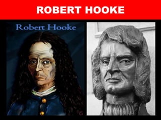 ROBERT HOOKE
 
