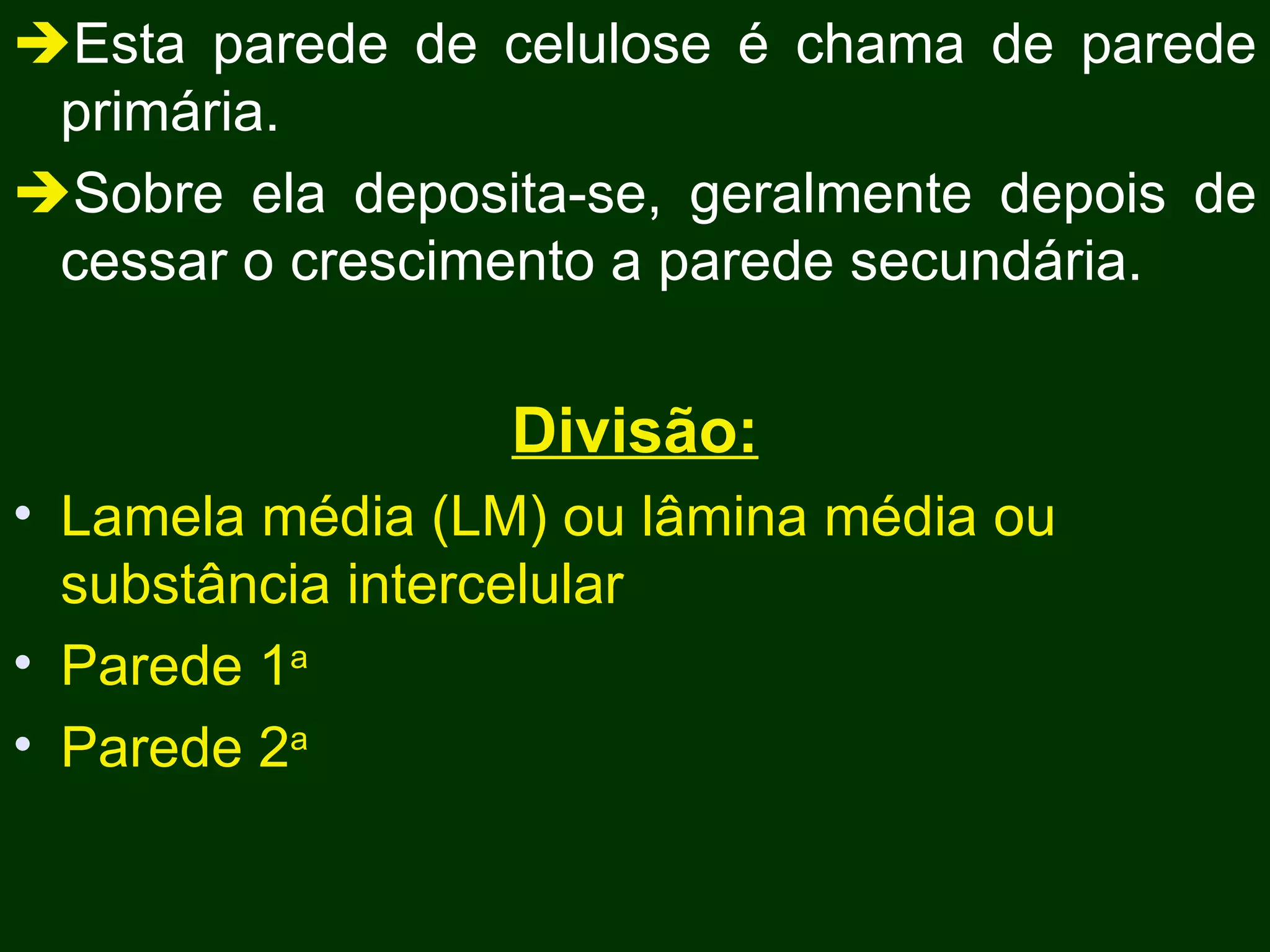  Esta parede de celulose é chama de parede primária.  Sobre ela deposita-se, geralmente depois de cessar o crescimento a parede secundária. Divisão: Lamela média (LM) ou lâmina média ou substância intercelular Parede 1 a Parede 2 a 