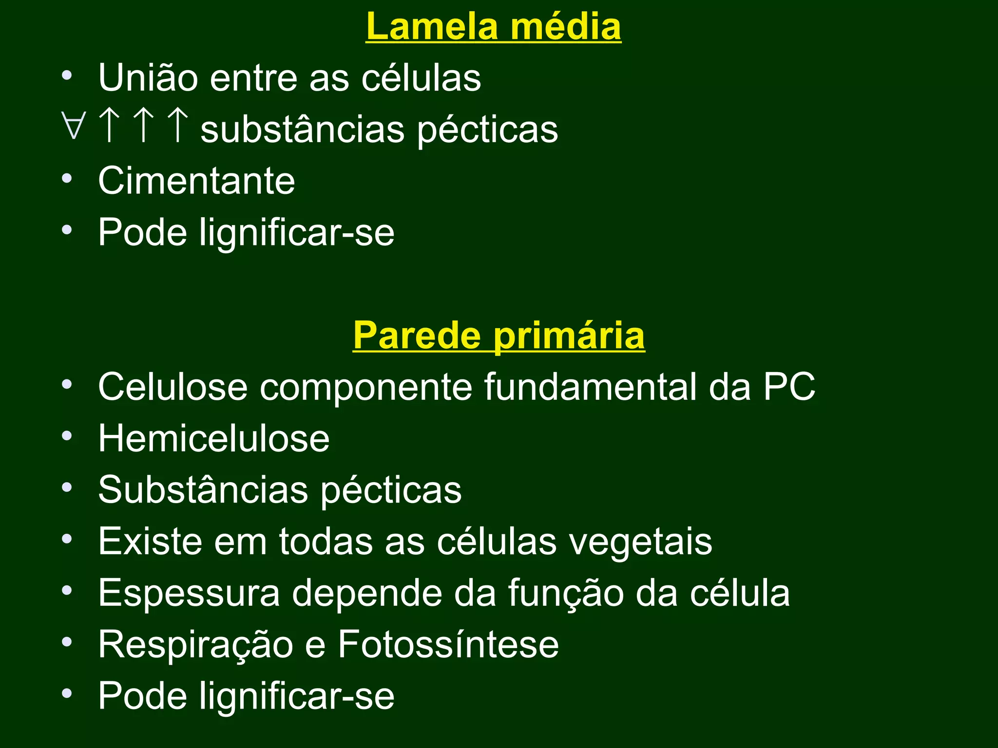 Lamela média   União entre as células          substâncias pécticas Cimentante Pode lignificar-se Parede primária Celulose componente fundamental da PC Hemicelulose  Substâncias pécticas Existe em todas as células vegetais Espessura depende da função da célula Respiração e Fotossíntese Pode lignificar-se 