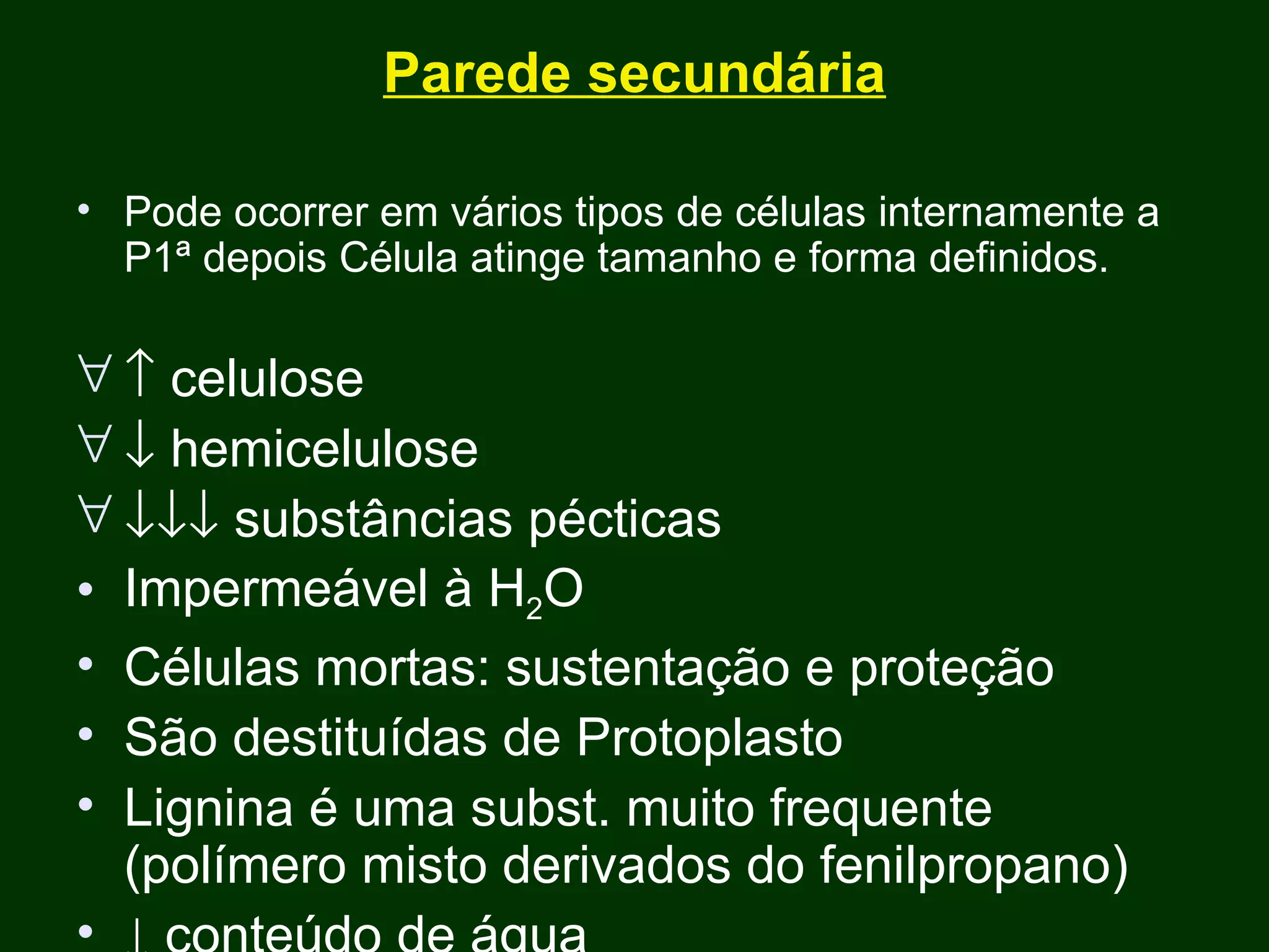 Parede secundária Pode ocorrer em vários tipos de células internamente a P1ª depois Célula atinge tamanho e forma definidos.    celulose    hemicelulose    substâncias pécticas Impermeável à H 2 O Células mortas: sustentação e proteção São destituídas de Protoplasto Lignina é uma subst. muito frequente (polímero misto derivados do fenilpropano) ↓  conteúdo de água 