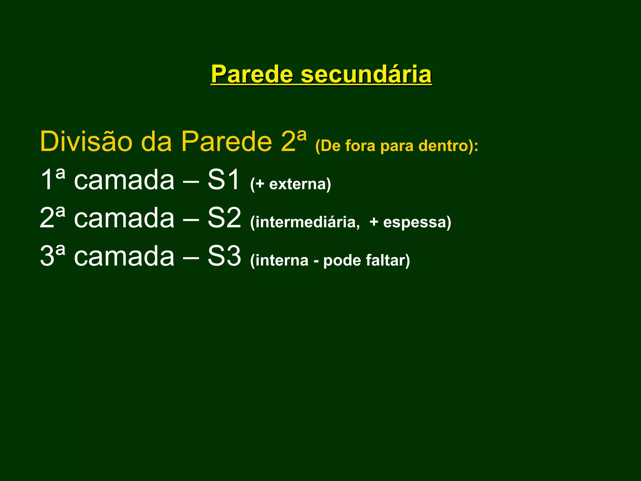 Parede secundária Divisão da Parede 2ª  (De fora para dentro): 1ª camada – S1  (+ externa) 2ª camada – S2  (intermediária,  + espessa) 3ª camada – S3  (interna - pode faltar) 
