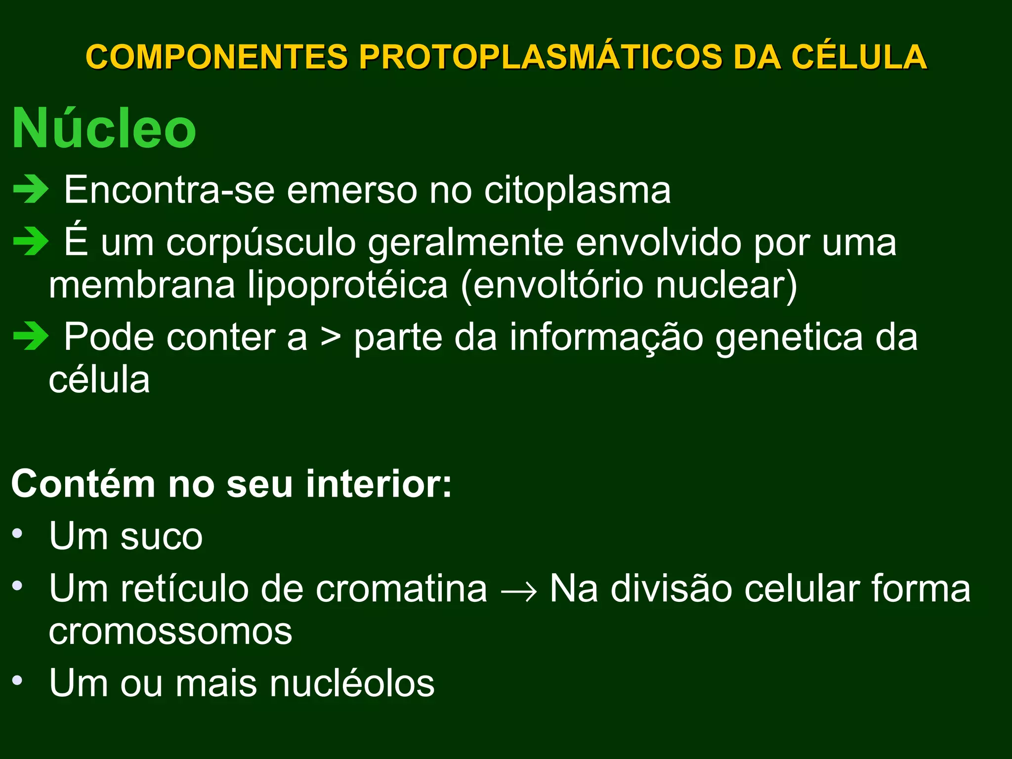 COMPONENTES PROTOPLASMÁTICOS DA CÉLULA Núcleo    Encontra-se emerso no citoplasma     É um corpúsculo geralmente envolvido por uma membrana lipoprotéica (envoltório nuclear)    Pode conter a  > parte da informação genetica da célula Contém no seu interior:  Um suco  Um retículo de cromatina    Na divisão celular forma cromossomos Um ou mais nucléolos 