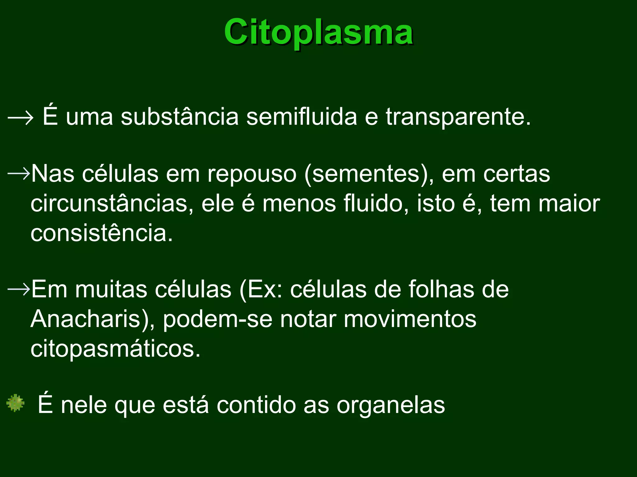 Citoplasma    É uma substância semifluida e transparente. Nas células em repouso (sementes), em certas circunstâncias, ele é menos fluido, isto é, tem maior consistência. Em muitas células (Ex: células de folhas de Anacharis), podem-se notar movimentos citopasmáticos. É nele que está contido as organelas 