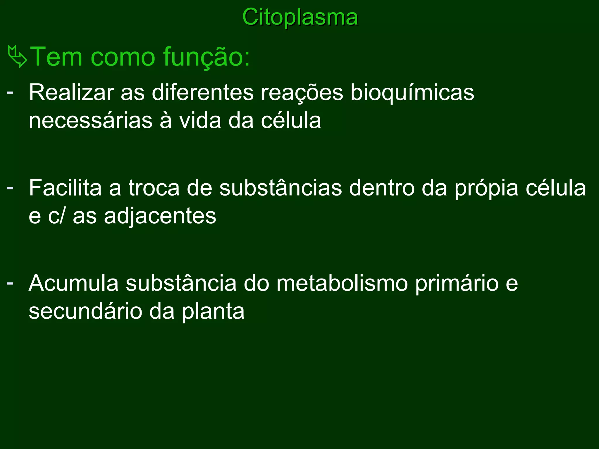 Citoplasma  Tem como função: Realizar as diferentes reações bioquímicas necessárias à vida da célula Facilita a troca de substâncias dentro da própia célula e c/ as adjacentes Acumula substância do metabolismo primário e secundário da planta 