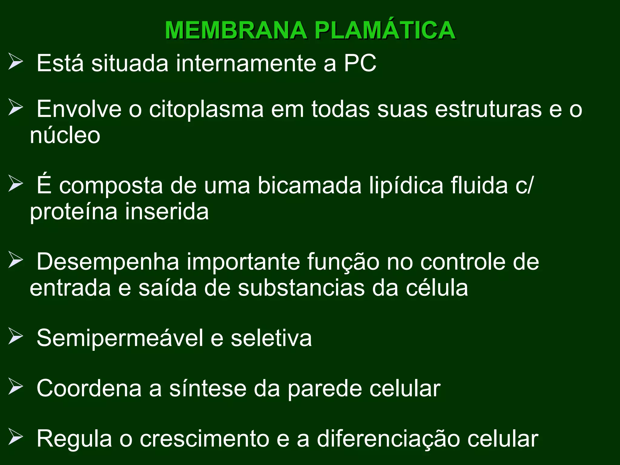 MEMBRANA PLAMÁTICA Está situada internamente a PC Envolve o citoplasma em todas suas estruturas e o núcleo É composta de uma bicamada lipídica fluida c/ proteína inserida Desempenha importante função no controle de entrada e saída de substancias da célula Semipermeável e seletiva Coordena a síntese da parede celular Regula o crescimento e a diferenciação celular 