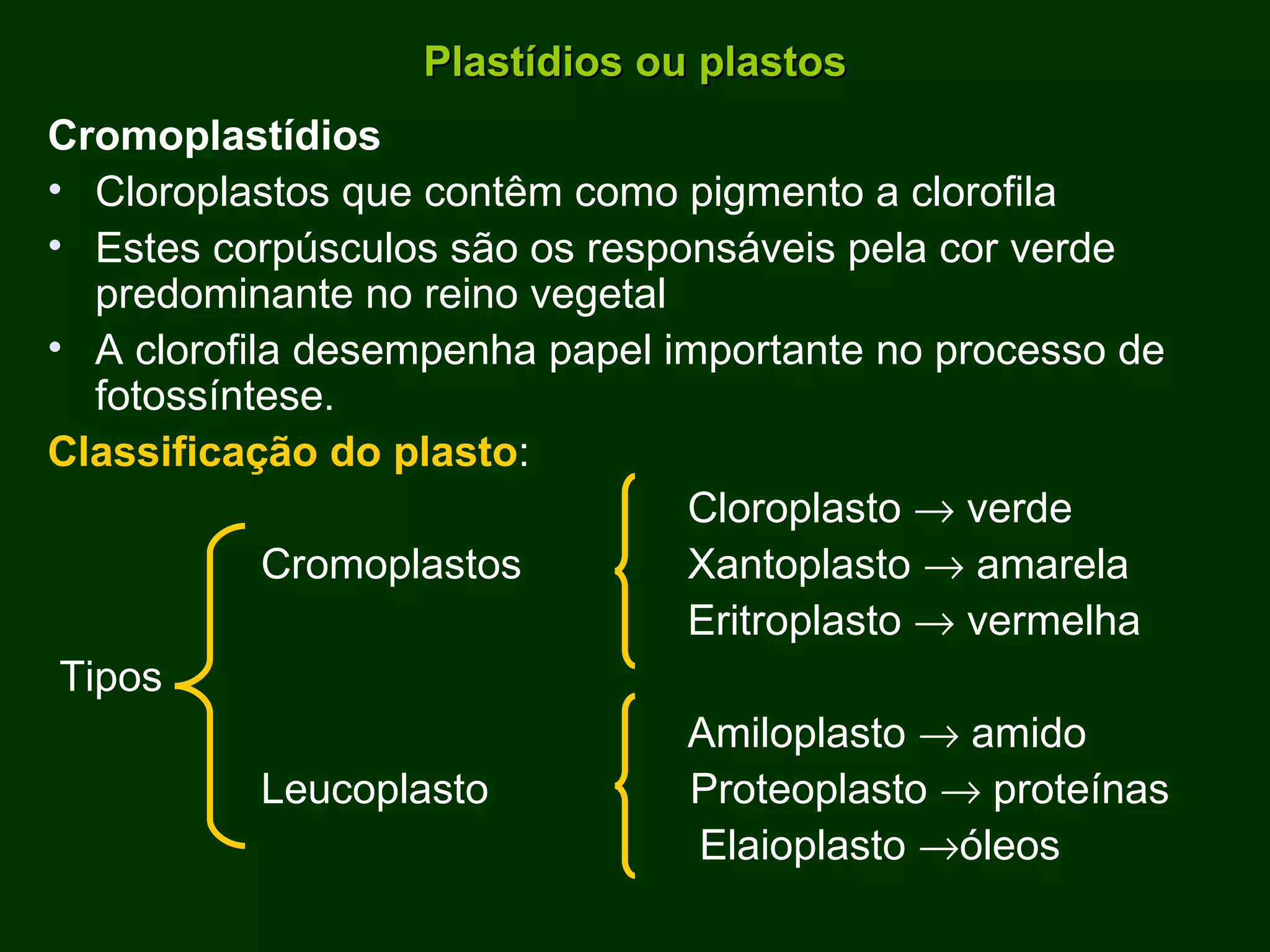 Plastídios ou plastos Cromoplastídios Cloroplastos que contêm como pigmento a clorofila Estes corpúsculos são os responsáveis pela cor verde predominante no reino vegetal A clorofila desempenha papel importante no processo de fotossíntese. Classificação do plasto :  Cloroplasto    verde Cromoplastos  Xantoplasto    amarela Eritroplasto    vermelha Tipos  Amiloplasto    amido Leucoplasto  Proteoplasto    proteínas Elaioplasto   óleos 