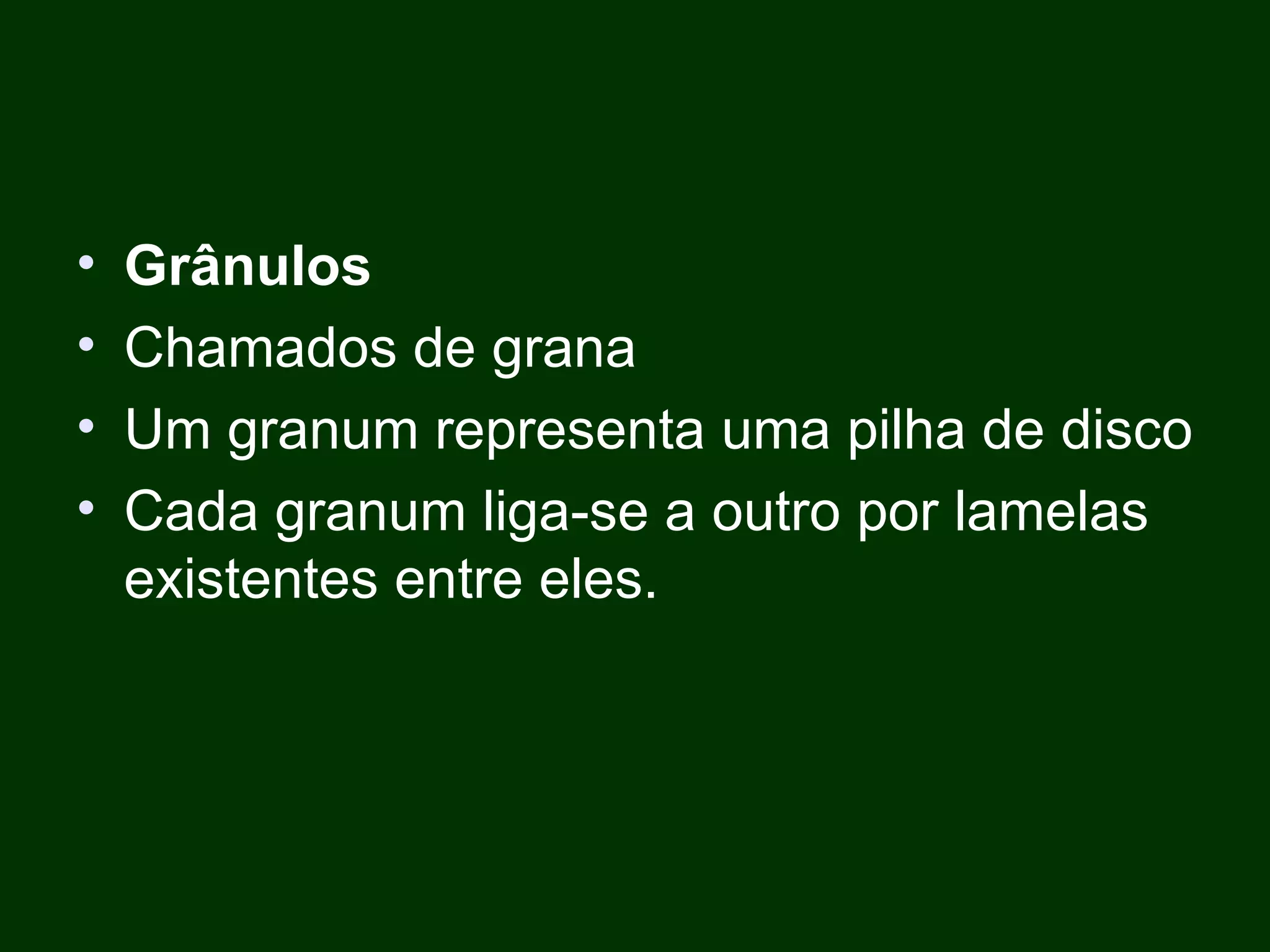 Grânulos Chamados de grana Um granum representa uma pilha de disco Cada granum liga-se a outro por lamelas existentes entre eles. 