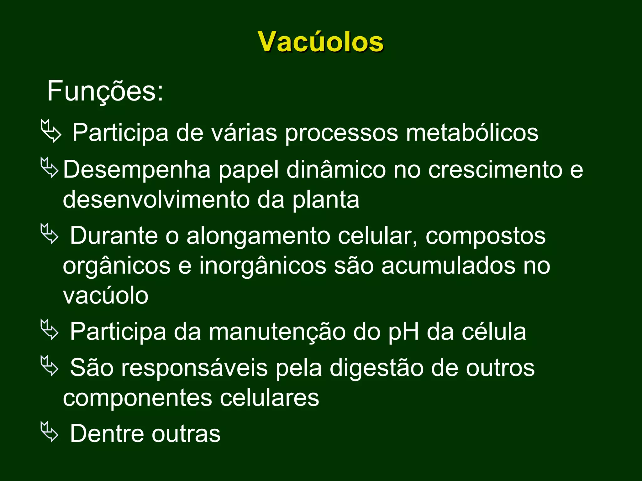 Vacúolos Funções:    Participa de várias processos metabólicos Desempenha papel dinâmico no crescimento e desenvolvimento da planta Durante o alongamento celular, compostos orgânicos e inorgânicos são acumulados no vacúolo Participa da manutenção do pH da célula São responsáveis pela digestão de outros componentes celulares Dentre outras 