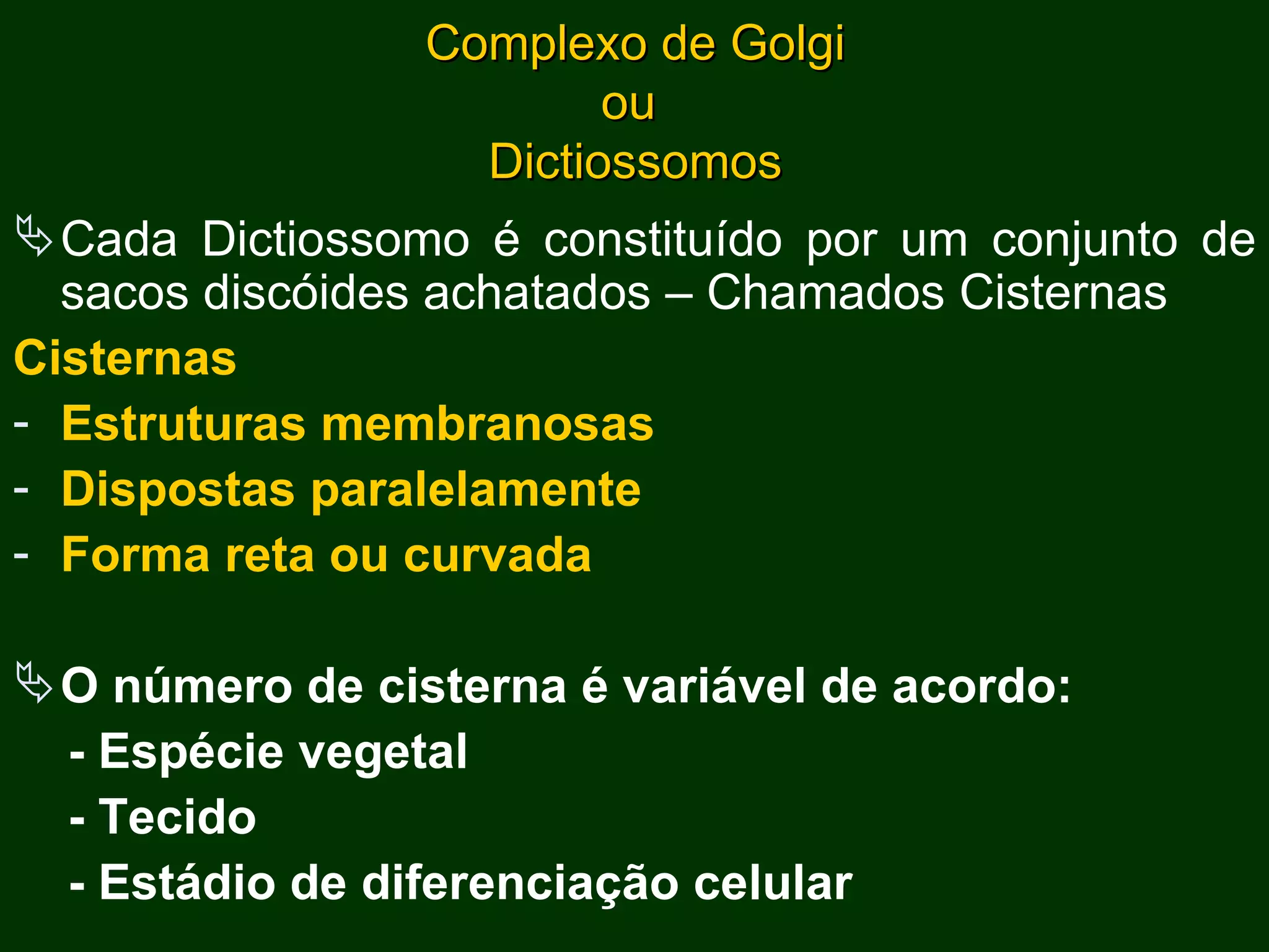 Complexo de Golgi ou  Dictiossomos Cada Dictiossomo é constituído por um conjunto de sacos discóides achatados – Chamados Cisternas Cisternas Estruturas membranosas Dispostas paralelamente Forma reta ou curvada O número de cisterna é variável de acordo: - Espécie vegetal - Tecido - Estádio de diferenciação celular  