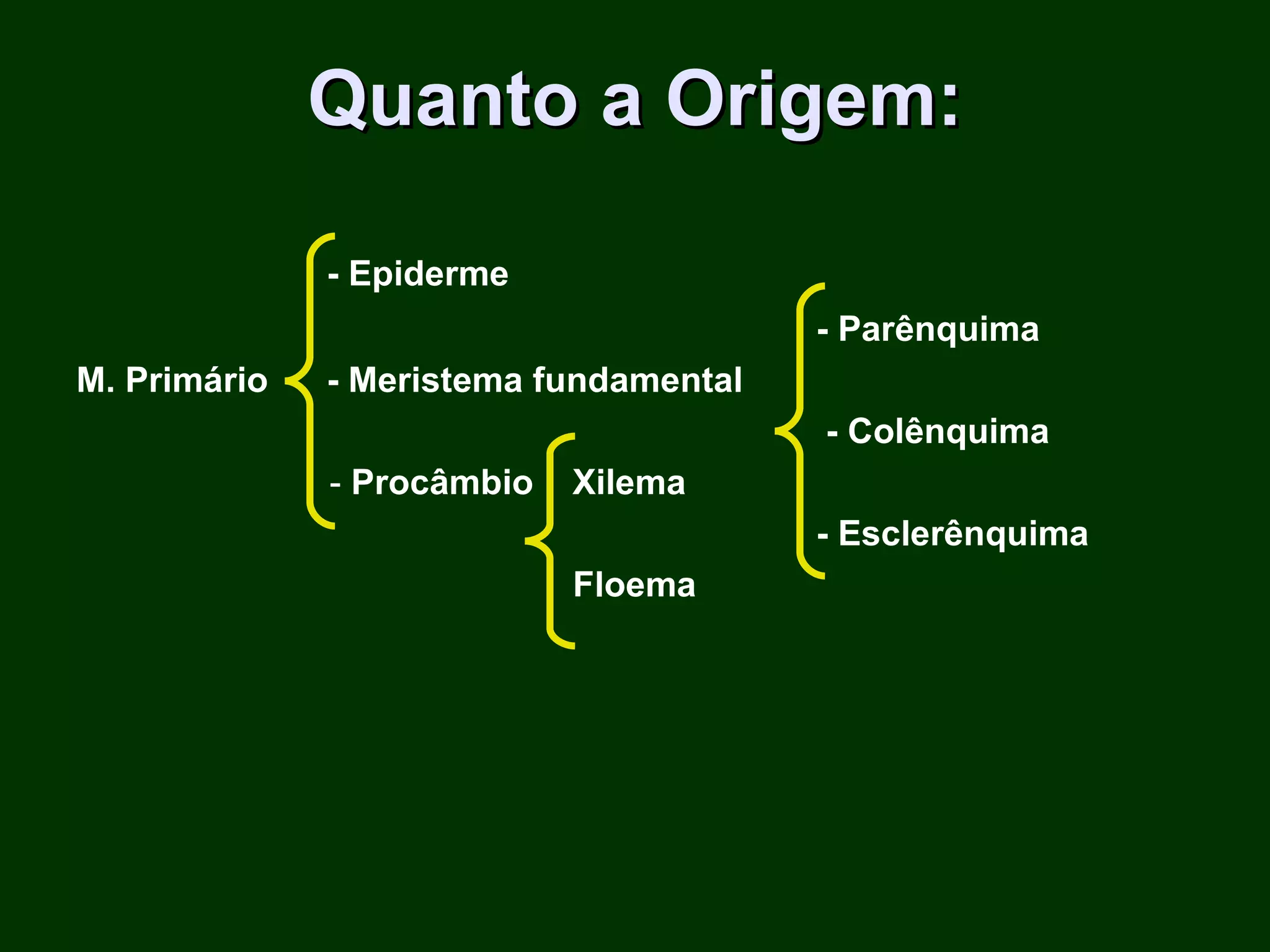Quanto a Origem: - Epiderme - Parênquima M. Primário  - Meristema fundamental  - Colênquima -  Procâmbio   Xilema  - Esclerênquima Floema 