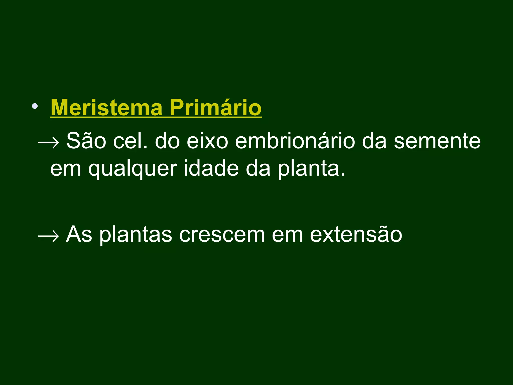 Meristema Primário    São cel. do eixo embrionário da semente em qualquer idade da planta.    As plantas crescem em extensão  