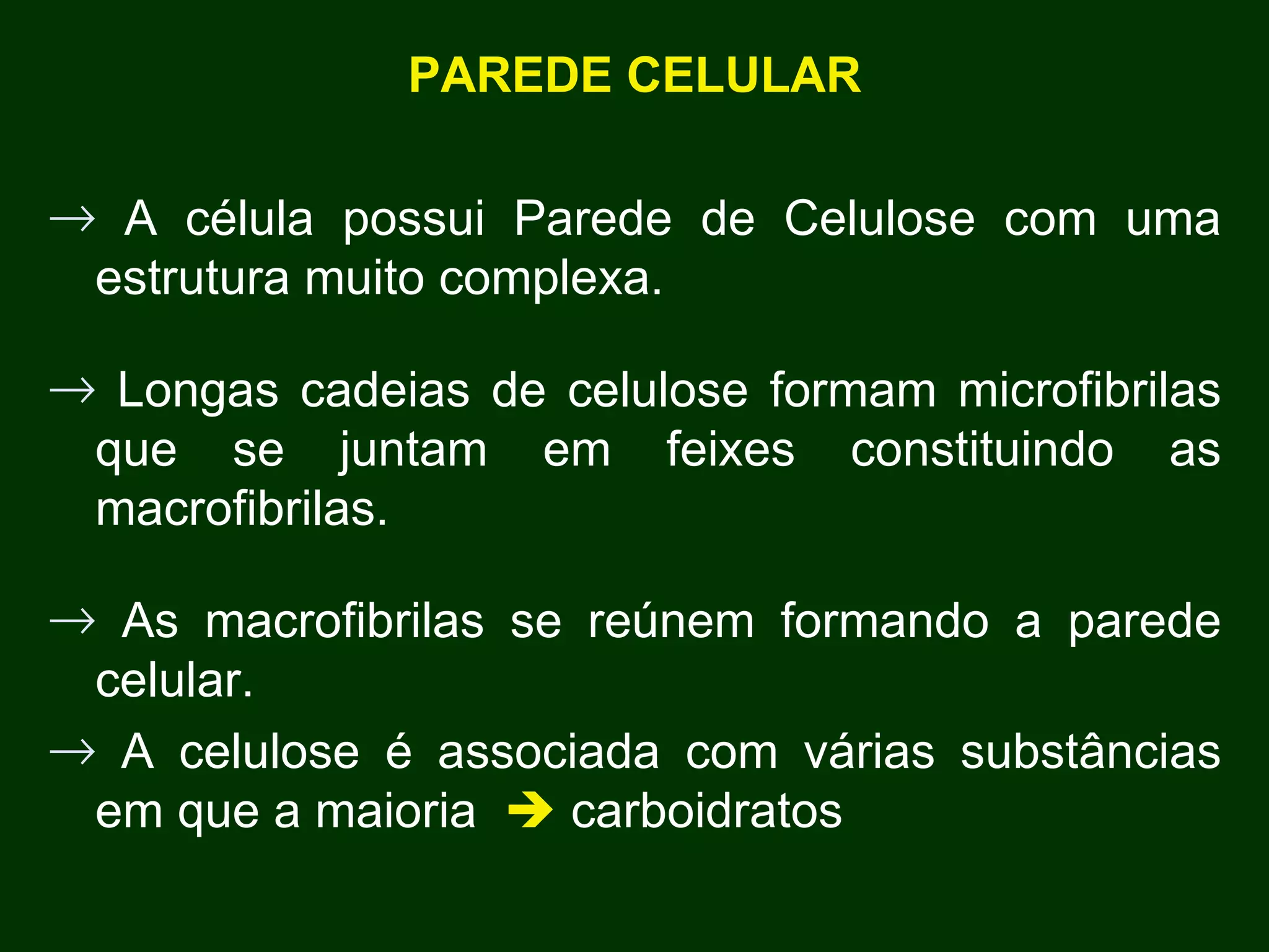 PAREDE CELULAR A célula possui Parede de Celulose com uma estrutura muito complexa. Longas cadeias de celulose formam microfibrilas que se juntam em feixes constituindo as macrofibrilas. As macrofibrilas se reúnem formando a parede celular. A celulose é associada com várias substâncias em que a maioria    carboidratos  