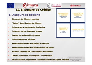 II. El Seguro de Crédito
El Asegurado obtiene
•   Búsqueda de Clientes rentables

•   “Rating” de mi Cartera de Clientes

•   Información y seguimiento de clientes

•   Cobertura de los riesgos de impago

•   Gestión de reclamación de deuda

•   Indemnización de pérdidas

•   Asesoramiento acerca de países y sectores

•   Asesoramiento acerca de instrumentos de pagos

•   Acceso a financiación con garantías adicionales

•   Destino fondos del “Autoseguro” a Inversiones

•   Externalización de procesos, transformando Coste Fijo en Variable
 
