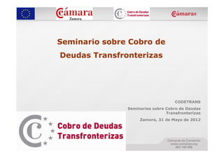 Seminario sobre Cobro de
Deudas Transfronterizas




                                    CODETRANS
               Seminari...
