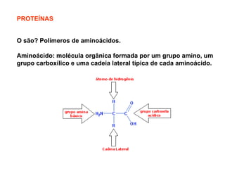 PROTEÍNAS O são? Polímeros de aminoácidos.  Aminoácido: molécula orgânica formada por um grupo amino, um grupo carboxílico e uma cadeia lateral típica de cada aminoácido. 