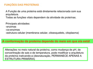 A conformação da proteína depende do meio em que ela está! FUNÇÕES DAS PROTEÍNAS A Função de uma proteína está diretamente relacionada com sua arquitetura.  Todas as funções vitais dependem da atividade de proteínas. Principais atividades:  -enzimas -co-enzimas  -estrutura celular (membrana celular, citoesqueleto, citoplasma) Alterações no meio natural da proteína, como mudança de pH, de concentração de sais e de temperatura, pode modificar a arquitetura da proteína inativando-a (desnaturação, PERMANECE APENAS A ESTRUTURA PRIMÁRIA) 