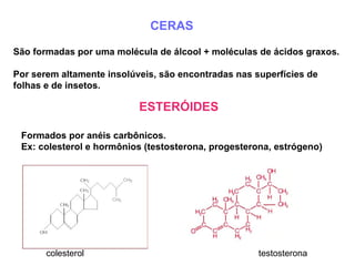 CERAS São formadas por uma molécula de álcool + moléculas de ácidos graxos. Por serem altamente insolúveis, são encontradas nas superfícies de folhas e de insetos. ESTERÓIDES Formados por anéis carbônicos.  Ex: colesterol e hormônios (testosterona, progesterona, estrógeno) testosterona colesterol 