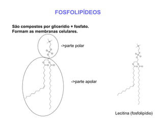 FOSFOLIPÍDEOS São compostos por glicerídio + fosfato. Formam as membranas celulares.  Lecitina (fosfolipídio) ->parte polar ->parte apolar 