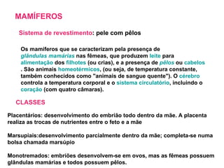 MAMÍFEROS Sistema de revestimento : pele com pêlos Os mamíferos que se caracterizam pela presença de  glândulas mamárias  nas fêmeas, que produzem  leite  para  alimentação  dos  filhotes  (ou crias), e a presença de  pêlos  ou  cabelos . São animais  homeotérmicos , (ou seja, de temperatura constante, também conhecidos como "animais de sangue quente"). O  cérebro  controla a temperatura corporal e o  sistema circulatório , incluindo o  coração  (com quatro câmaras).  CLASSES Placentários: desenvolvimento do embrião todo dentro da mãe. A placenta realiza as trocas de nutrientes entre o feto e a mãe Marsupiais:desenvolvimento parcialmente dentro da mãe; completa-se numa bolsa chamada marsúpio Monotremados: embriões desenvolvem-se em ovos, mas as fêmeas possuem glândulas mamárias e todos possuem pêlos. 
