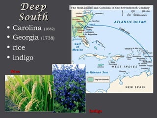 Indigo Rice 1. colonial america 1492 1754 | PPT